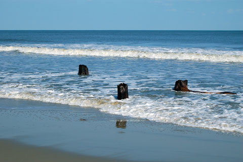North Carolina shoreline